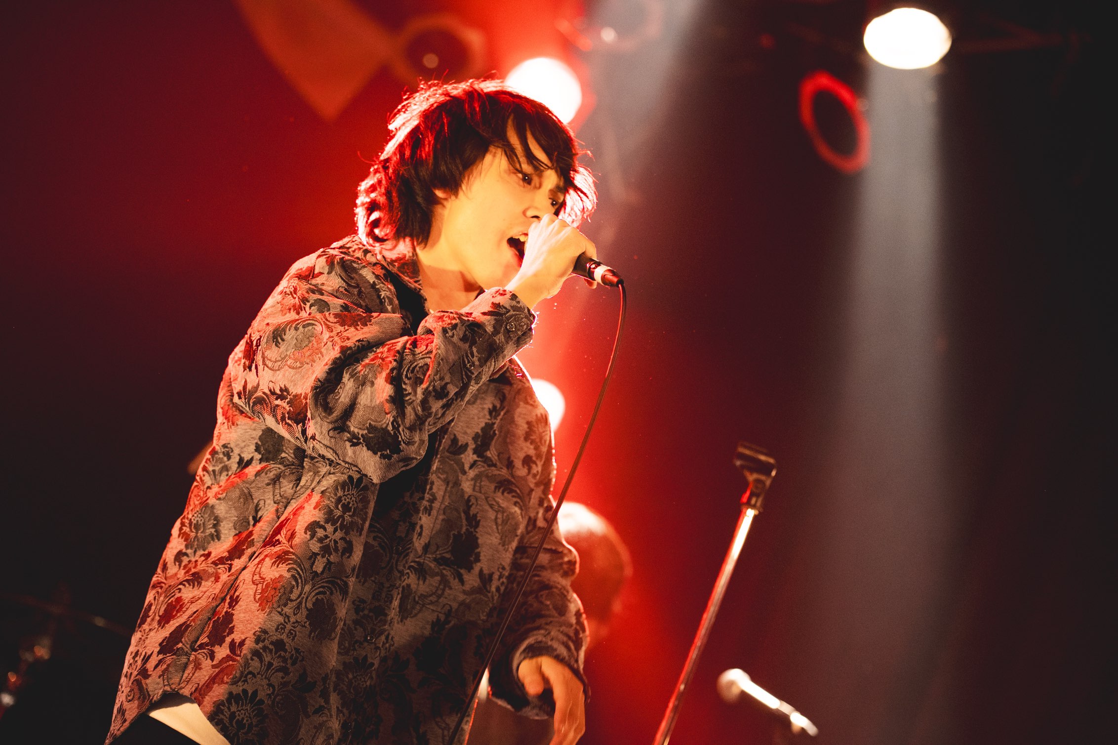 Seisuke/アンデコレイトのプロフィール画像