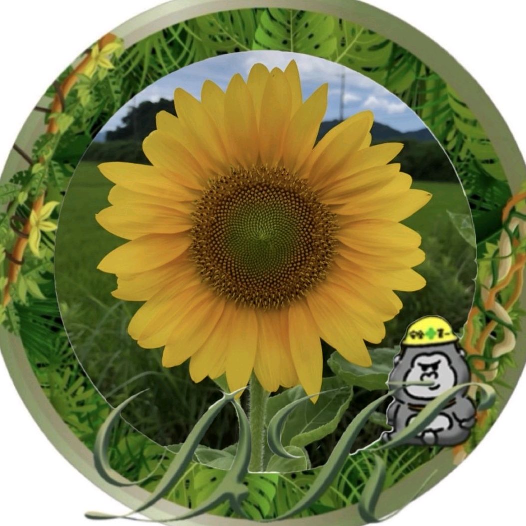 オカンnaokoのプロフィール画像