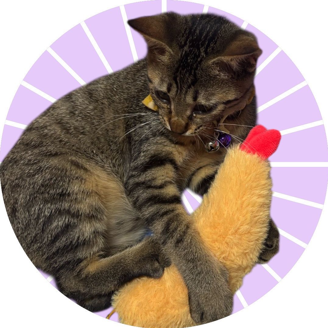 うきのプロフィール画像