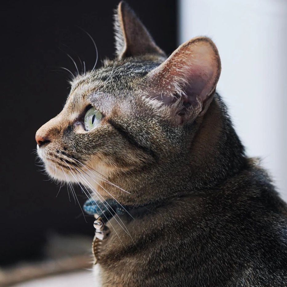 marunori05のプロフィール画像