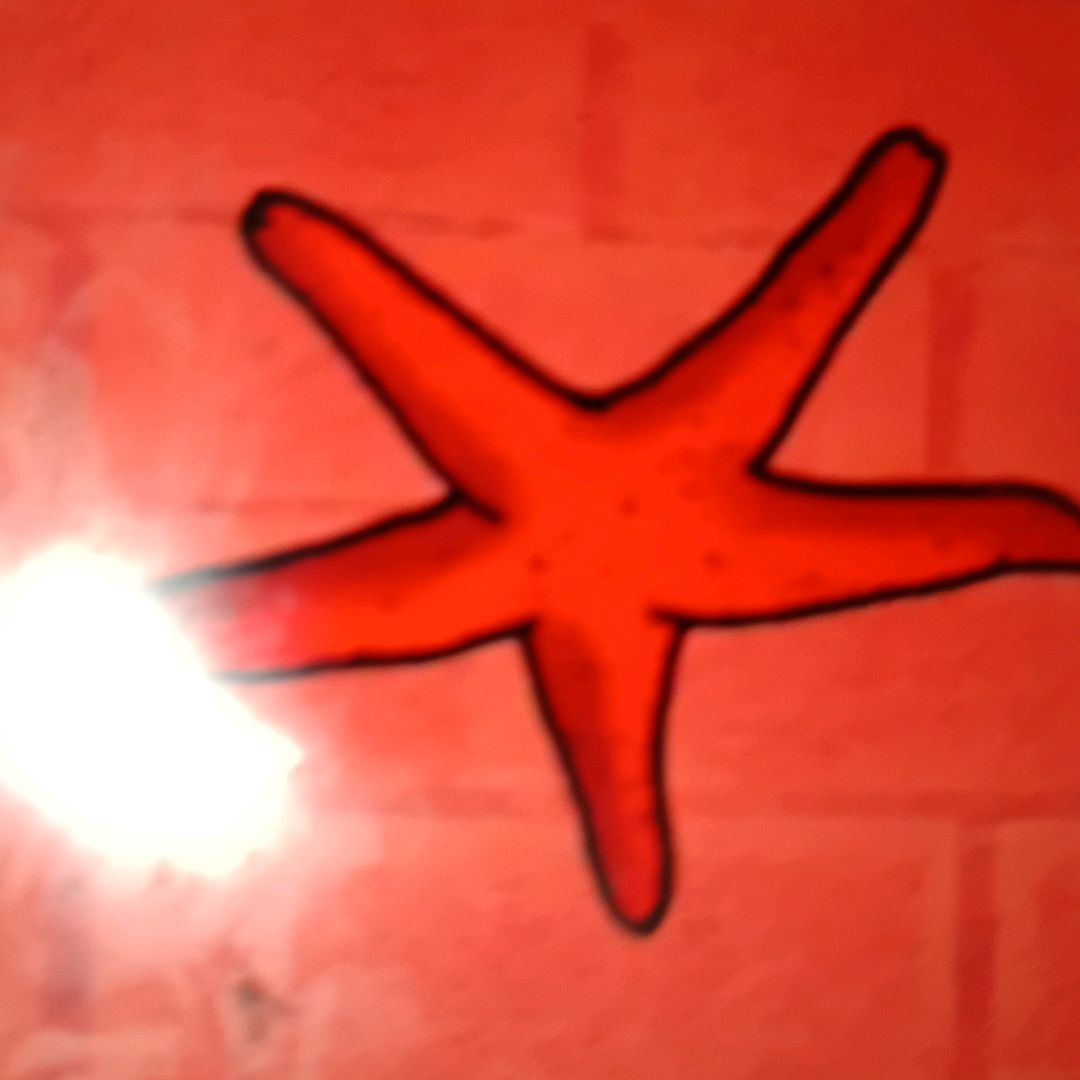 りおのプロフィール画像