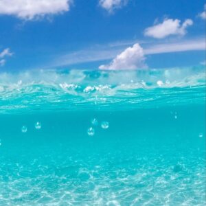 す〜ずのプロフィール画像