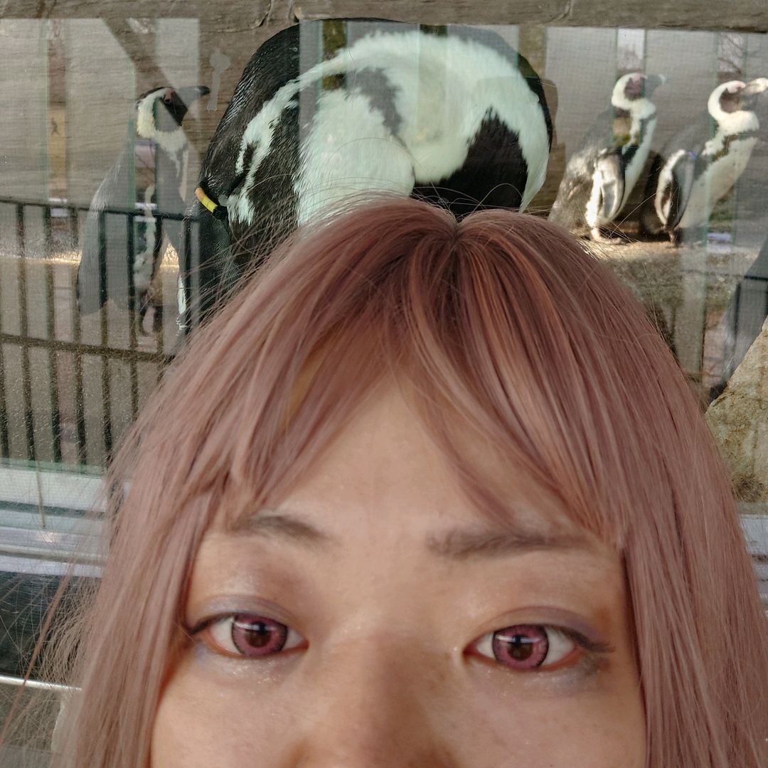 弊社のゆかこのプロフィール画像